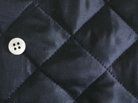 CHECK&STRIPEIWiLeBOlCr[